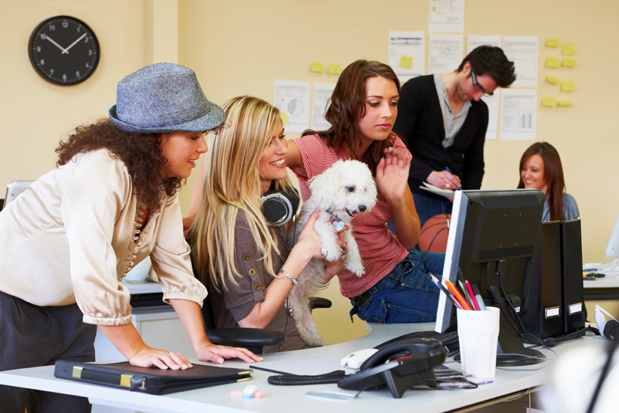 Workers and dog (photo: Getty)