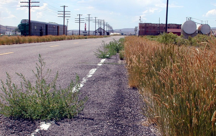 Along a state highway in Wyoming (photo: AP)