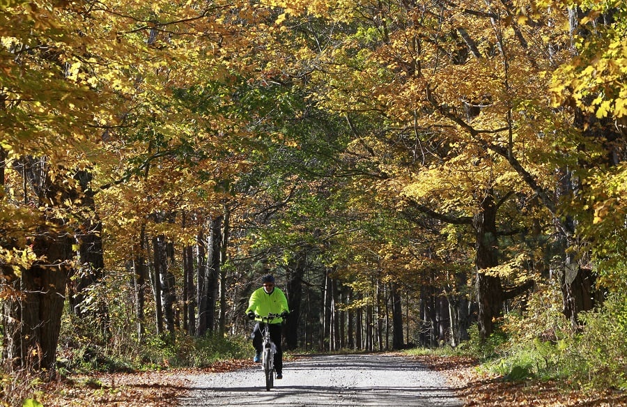 Riding under a canopy of fall leaves in Vermont. (AP Photo/Toby Talbot)