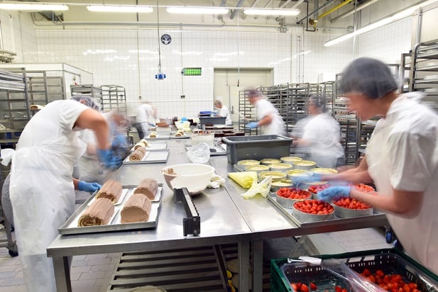 bakery factory workers