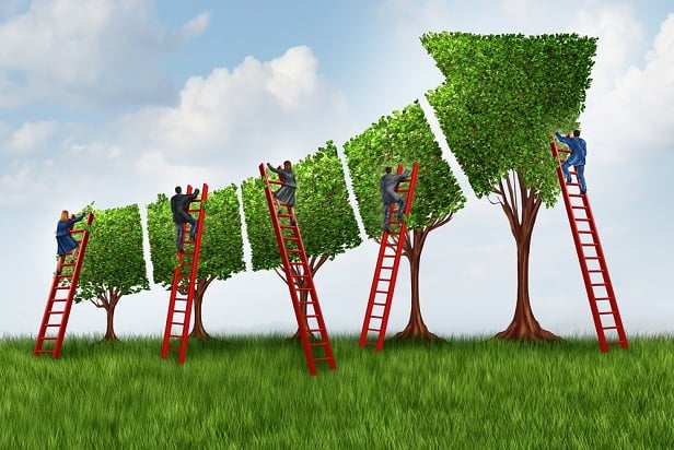 green hedges make a green arrow trending upward, tended by people on ladders pruning
