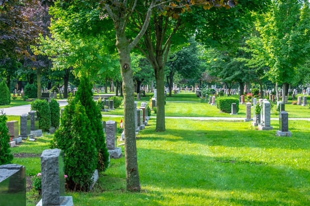green grass and trees of cemetery