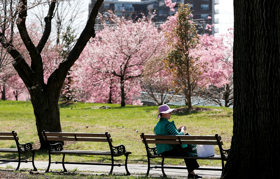 Woman knitting at a park in Newark NJ