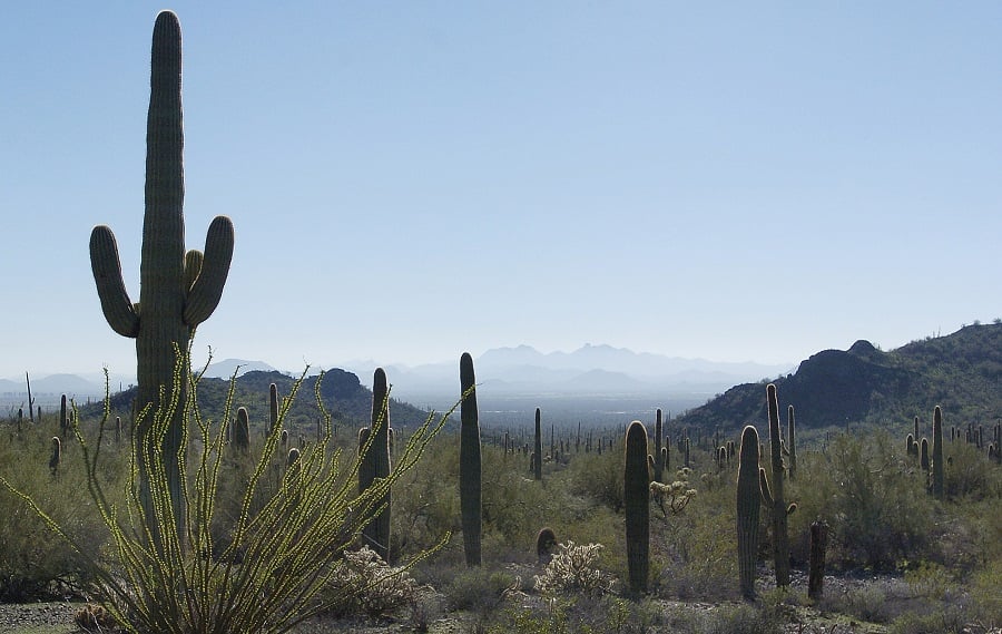 The view from a hiking trail at Picacho Peak Jan. 15, 2005. (AP Photo/Ross D. Franklin)