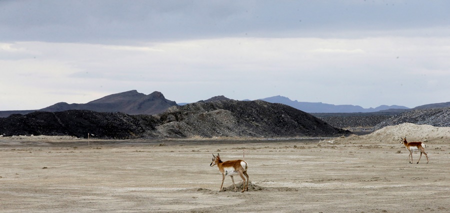 Utah actually has more people than antelope (photo: AP)