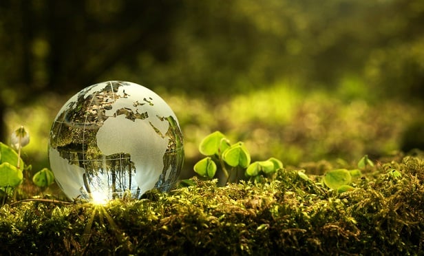 Glass globe on greenery