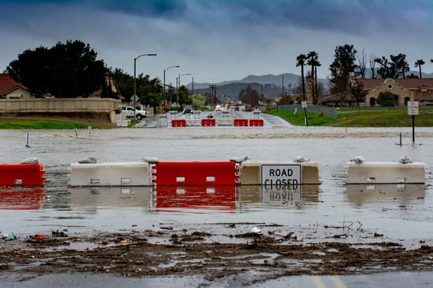 flooded street with palm trees