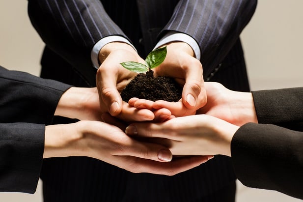 three people's hands holding a plant