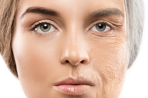 young woman half face, old woman half face