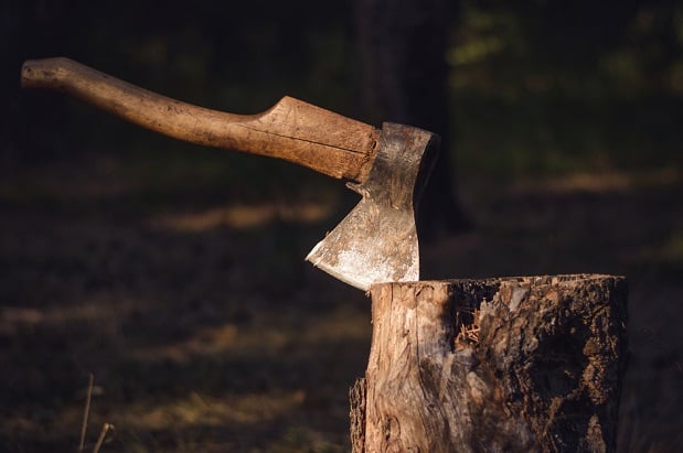 axe buried upright in a tree stump