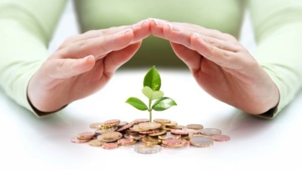 Mans hands cupped over a small leaflet growing on a pile of coins