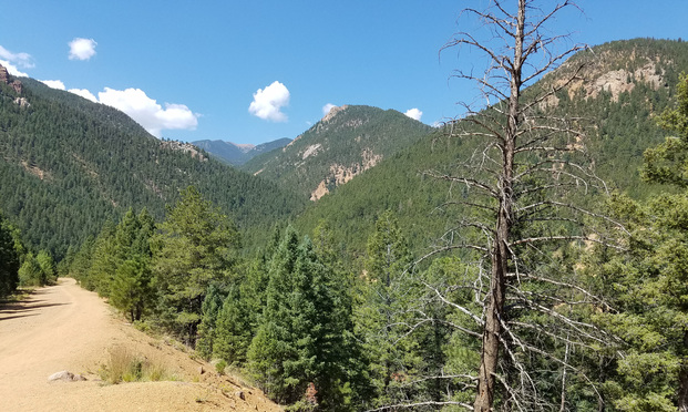 Mike Evers' home in Colorado.