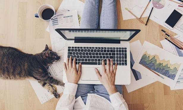 Woman with laptop and cat