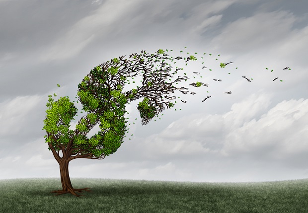 wind blowing money off tree