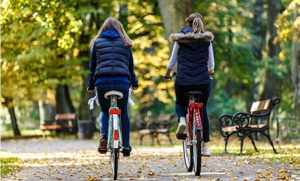 Two people biking in a park