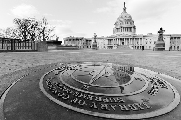 Capitol building in Washington D.C.