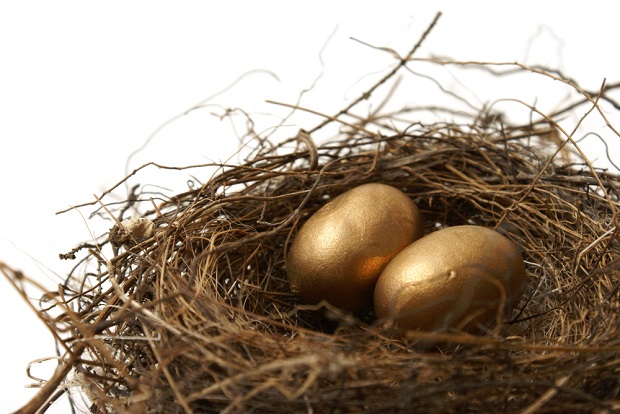 2 golden eggs in nest