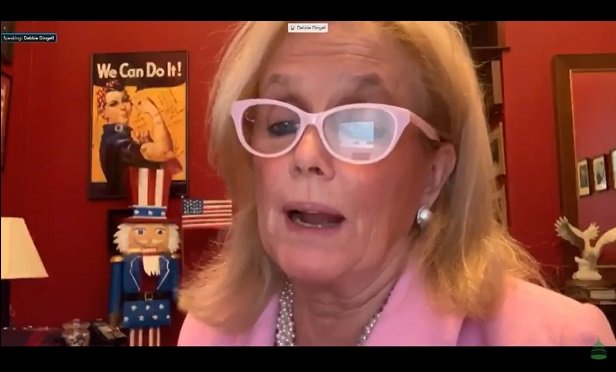2020-9-24-debbie-dingell_House-Energy_MI