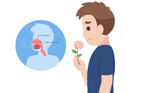 LossofSmellShutterstock