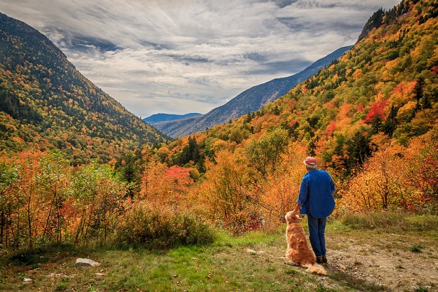 07 New hampshire fall man dog