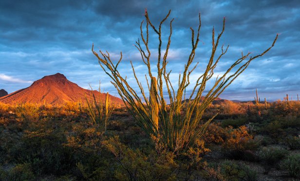 01_Arizona_Gilbert_Sunset_MI