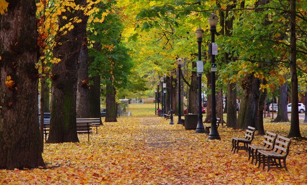 01_Oregon_Portland_Paris_Woods_MI