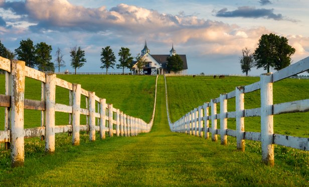 07_Kentucky_Horse_Farm_MI