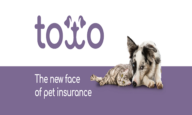 01_Toto