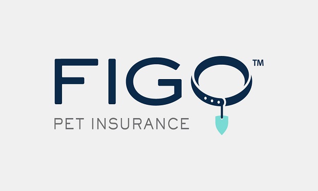 04_Figo