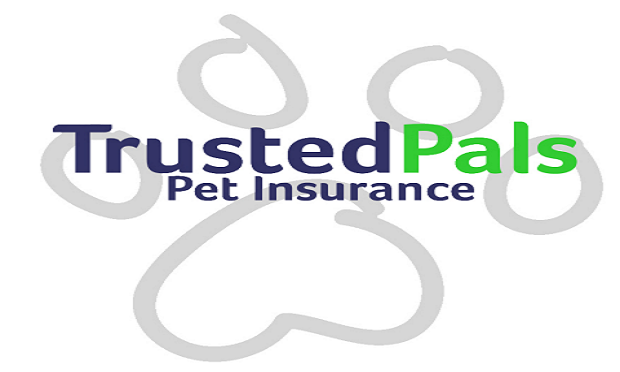 05_Trusted Pals