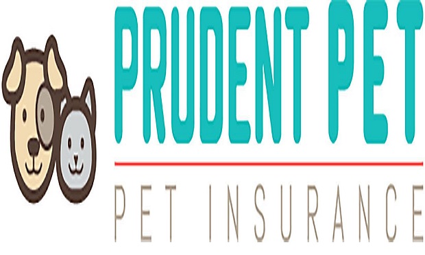 07_Prudent Pet