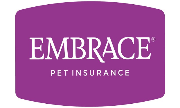 Embrace Logo