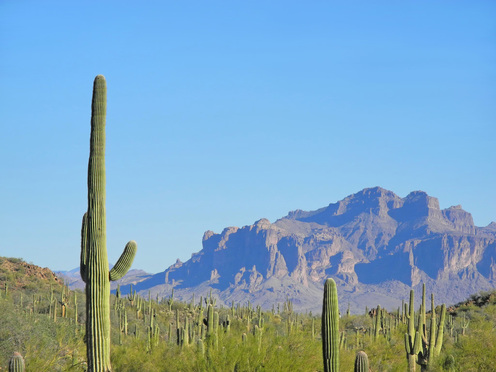 Mesa Arizona