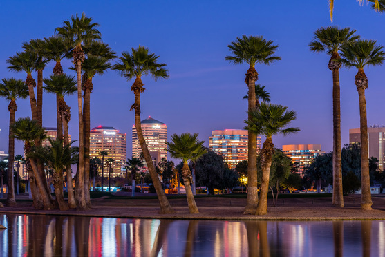 Phoenix night