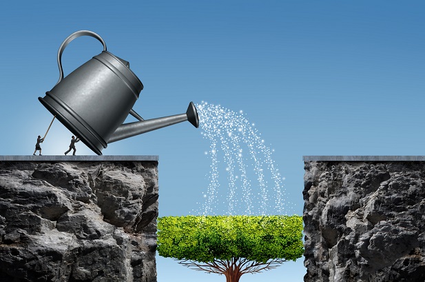04 patience plan nurture build business