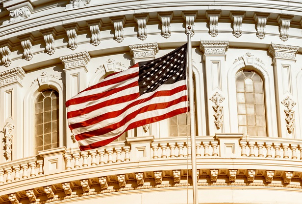 closeup of nation's capitol building