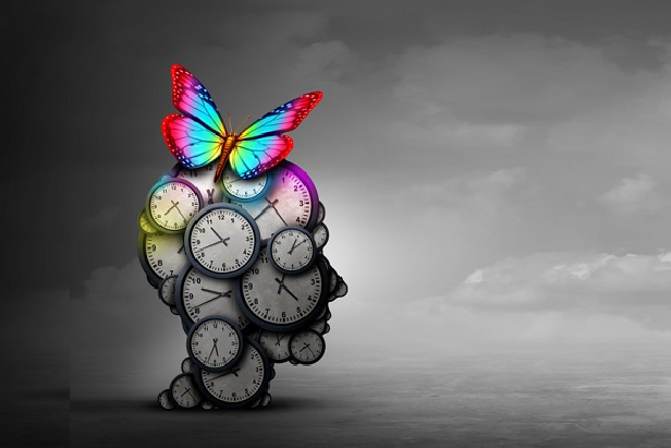 07 pension fund clock head butterfly