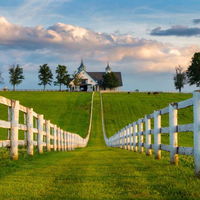 10_Kentucky_Horse_Farm_Shutter_640x640