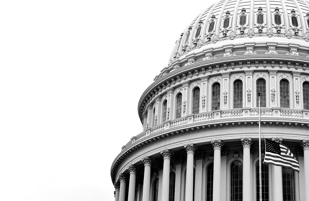 Capitol building dome closeup in black and white