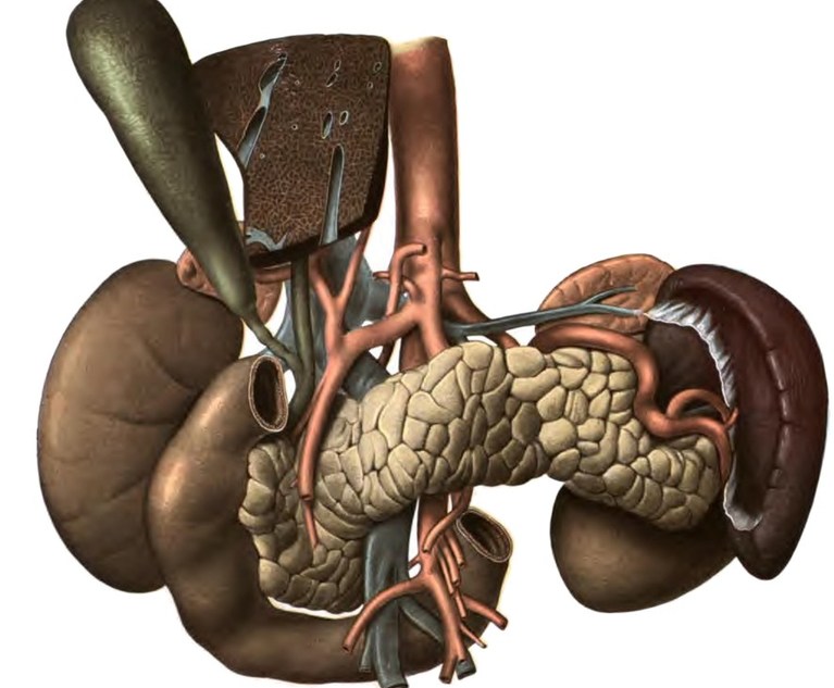 Pancreas