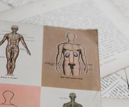 Pays anatomy: Which body parts would Americans insure 
