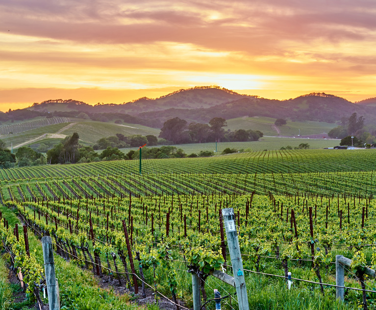 Vineyard