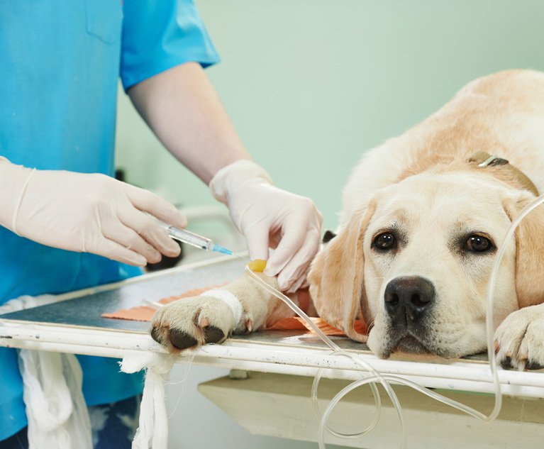 Pet care