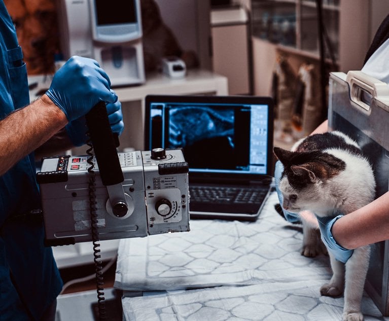 Veterinarians make x-ray sick cat on a table in a veterinary clinic.