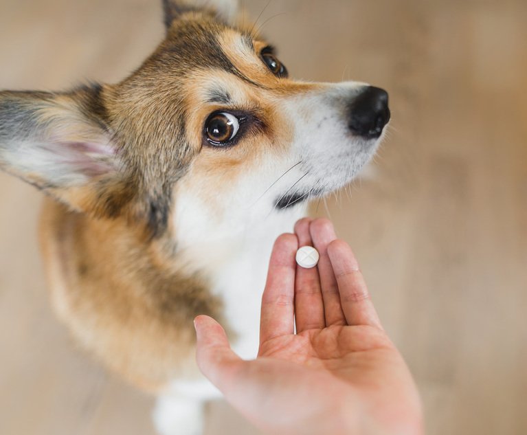 Pet care
