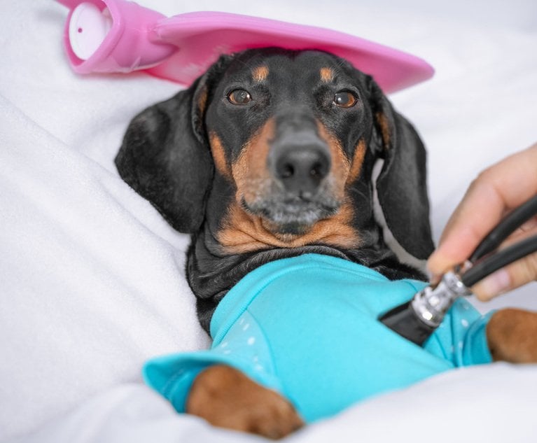 Pet care