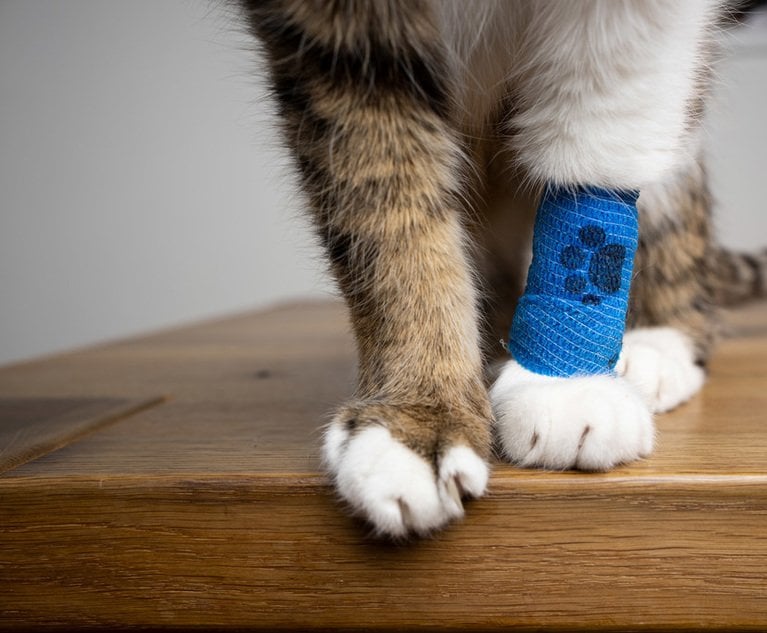 Pet care