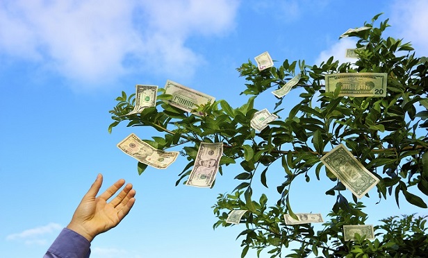 Money growing on trees